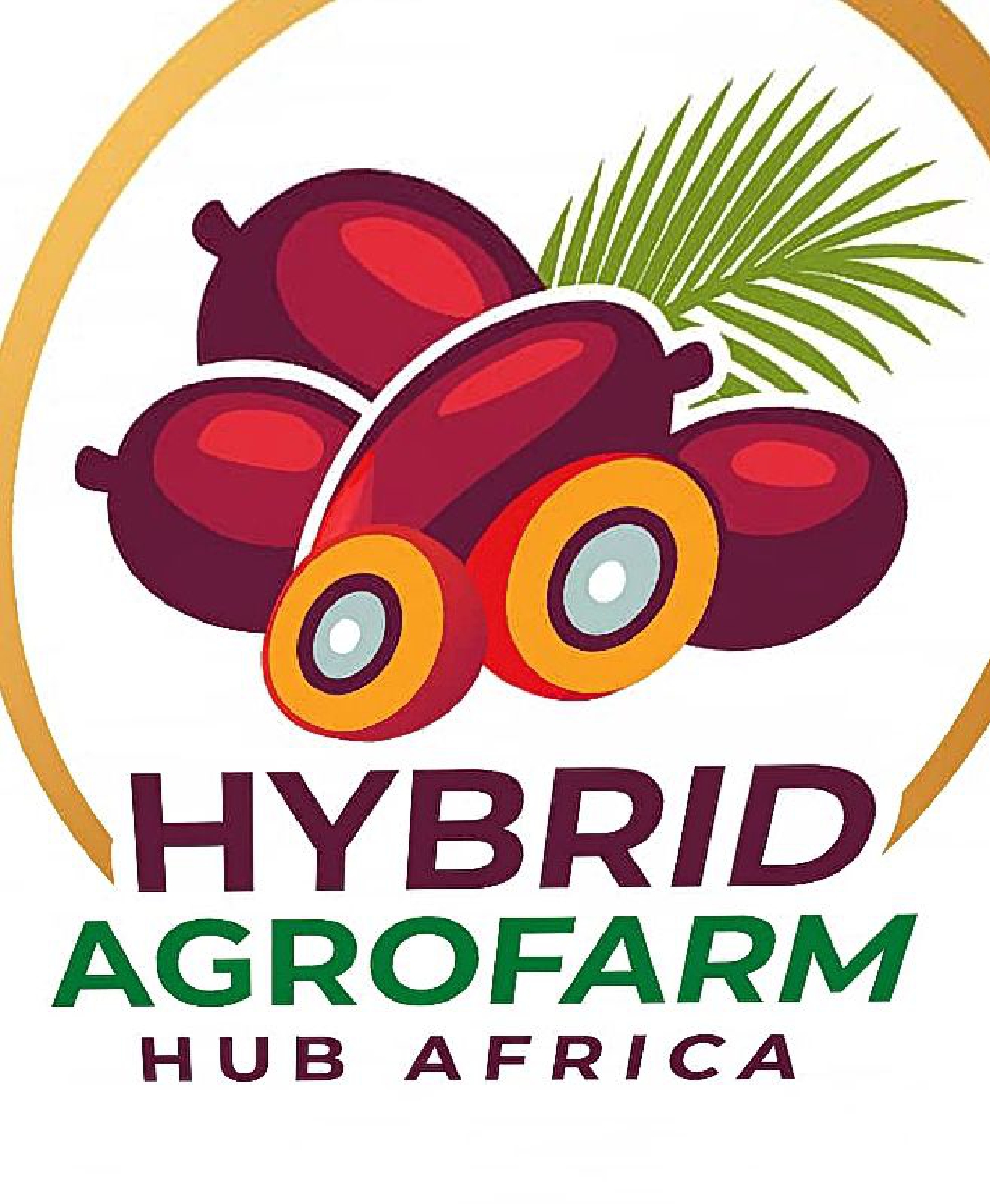 Hybrid AgroFarm Hub Africa